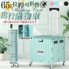 《DFhouse》(自取) 65L拉桿可折疊出行購物車